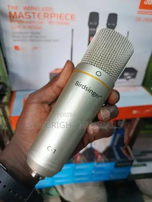 Birdsinger C1 Studio Microphone