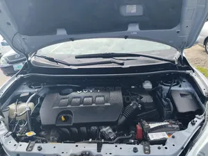 Toyota Matrix Hatchback FWD (1.8L 4cyl 5M) 2009 Silver
