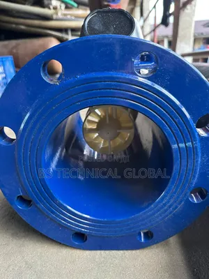 6" Flanged Water Meter Valve