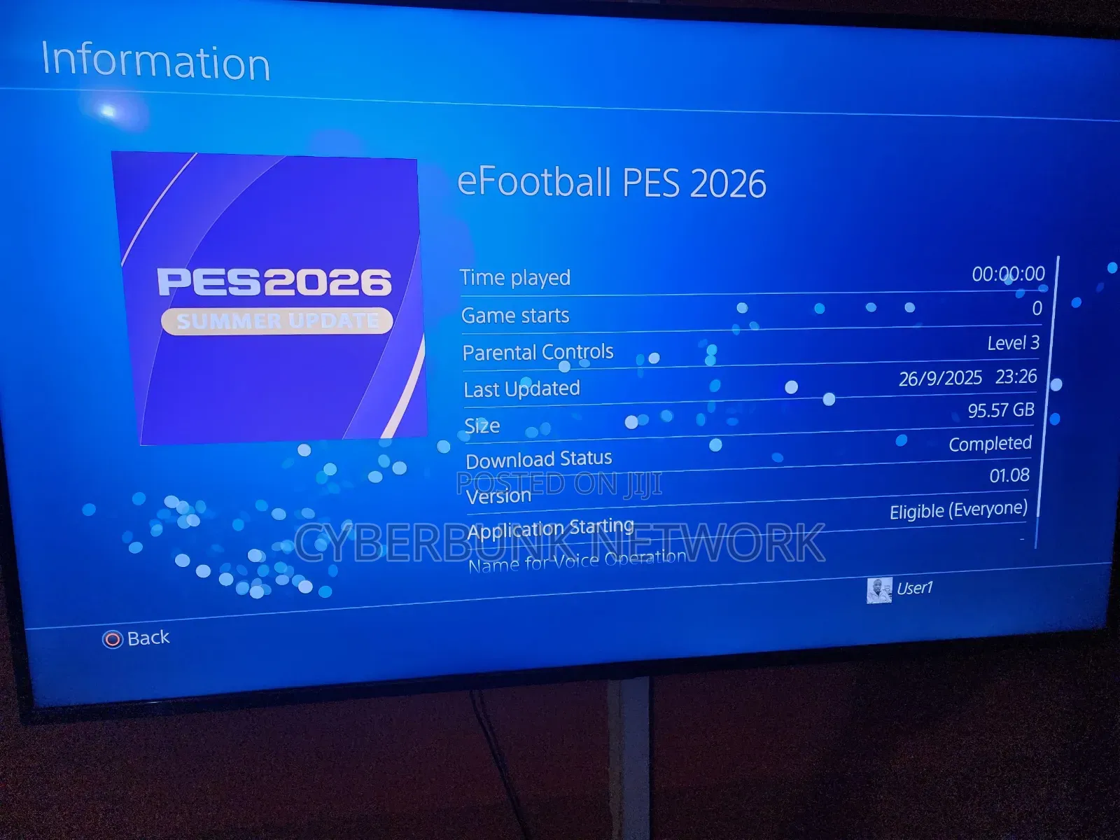 Ps4 Games Installation