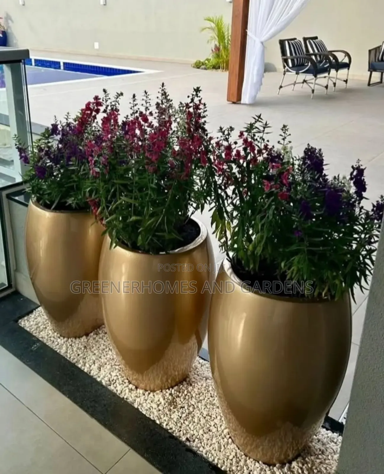 Plant Beautification