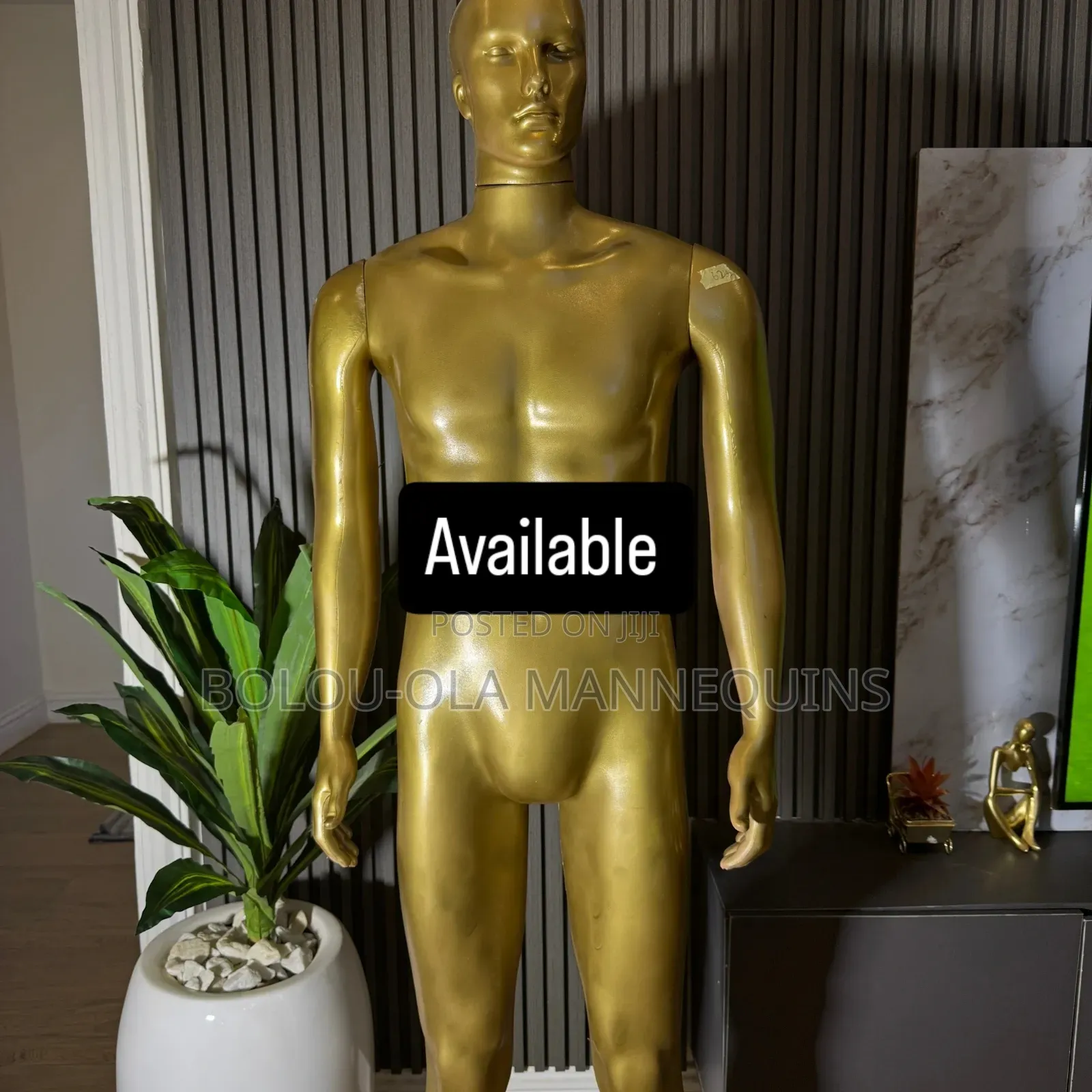 Gold Male Mannequin