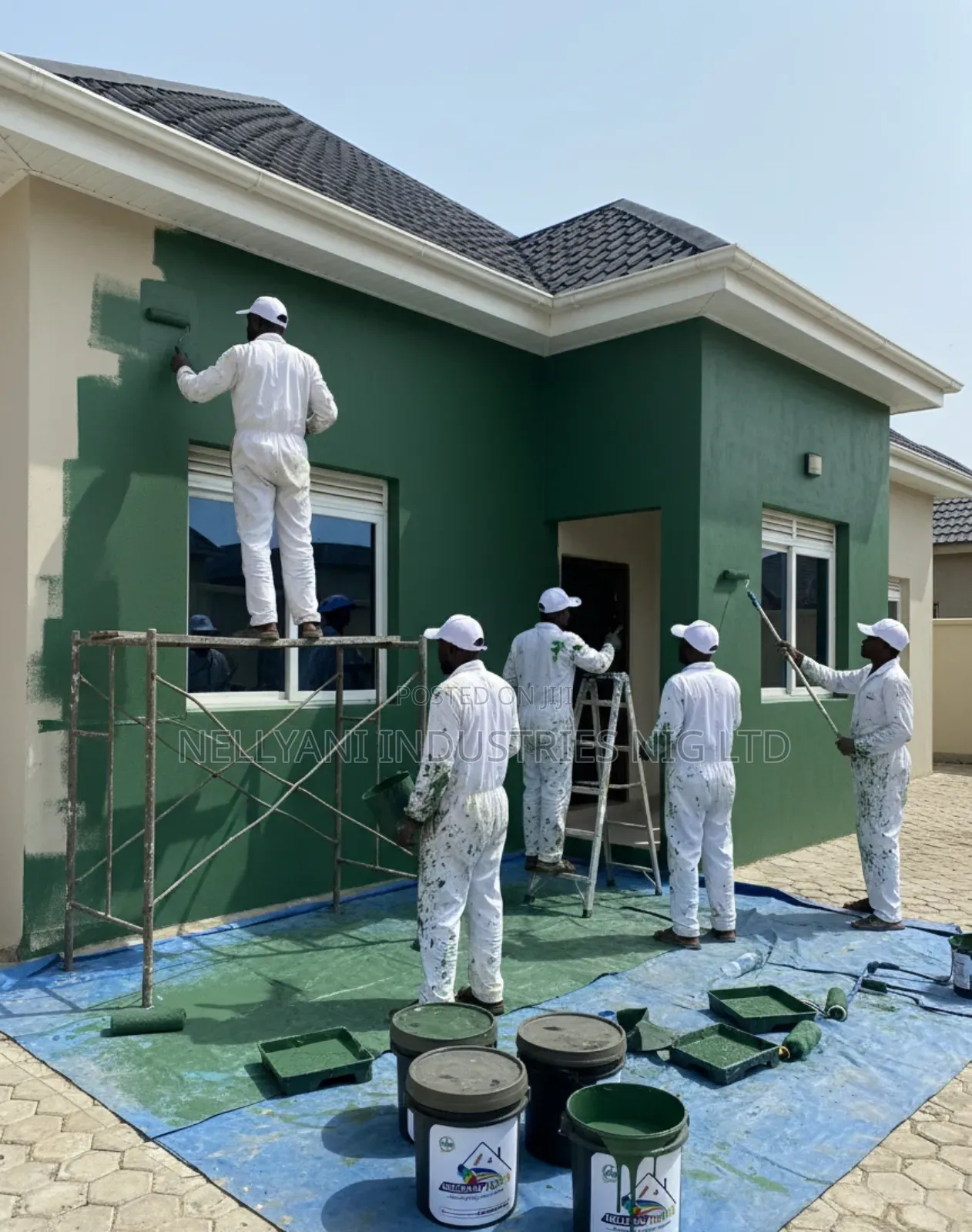 Premium Quality Paints for Homes Projects