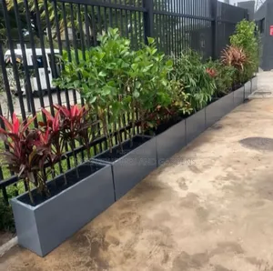Plant Placement