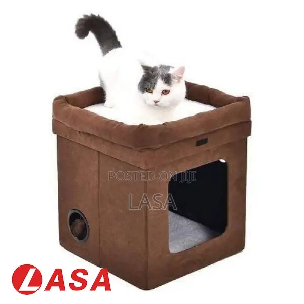 Collapsible Cat House