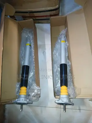 Back Shock for Porsche Panamera