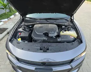 Dodge Charger 2019 Gray