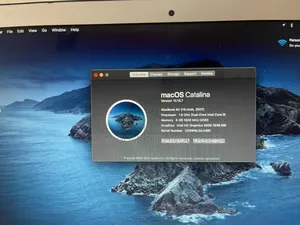 Laptop Apple MacBook 2017 8GB Intel Core I5 SSD 128GB