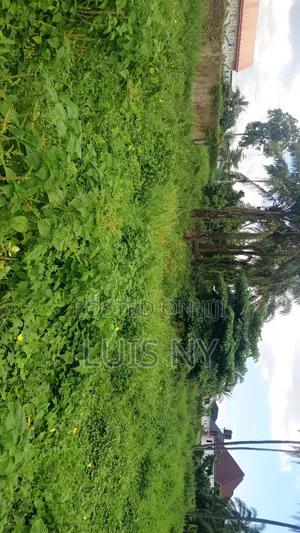 Land Iyiabi