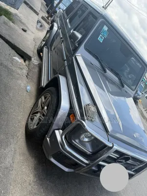 Mercedes-Benz G-Class 2010 Gray