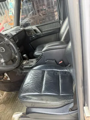 Mercedes-Benz G-Class 2010 Gray