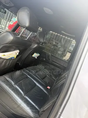 Mercedes-Benz G-Class 2010 Gray