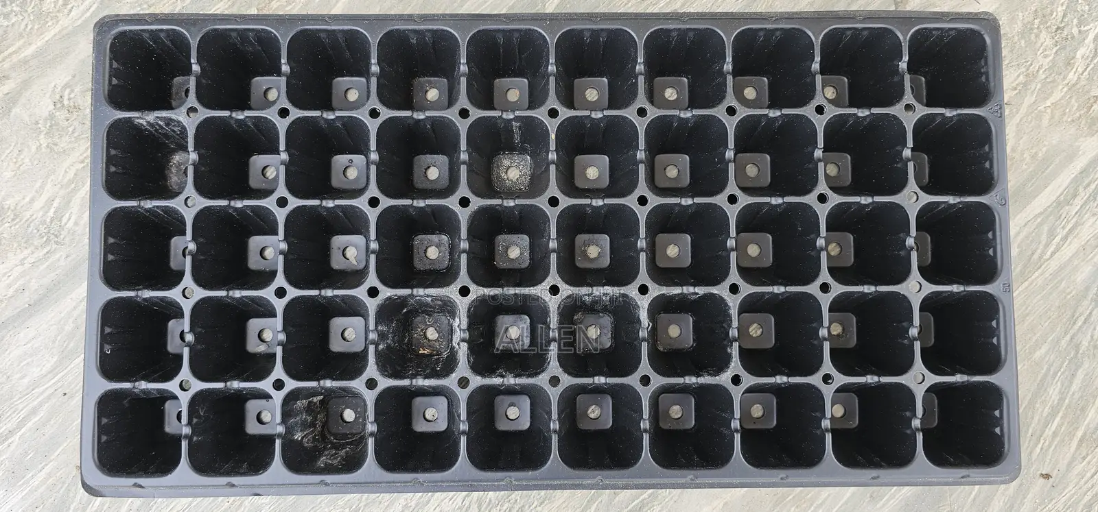 50 Cell Seed Tray