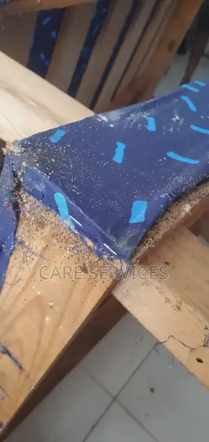 Bedbugs Infestations Control