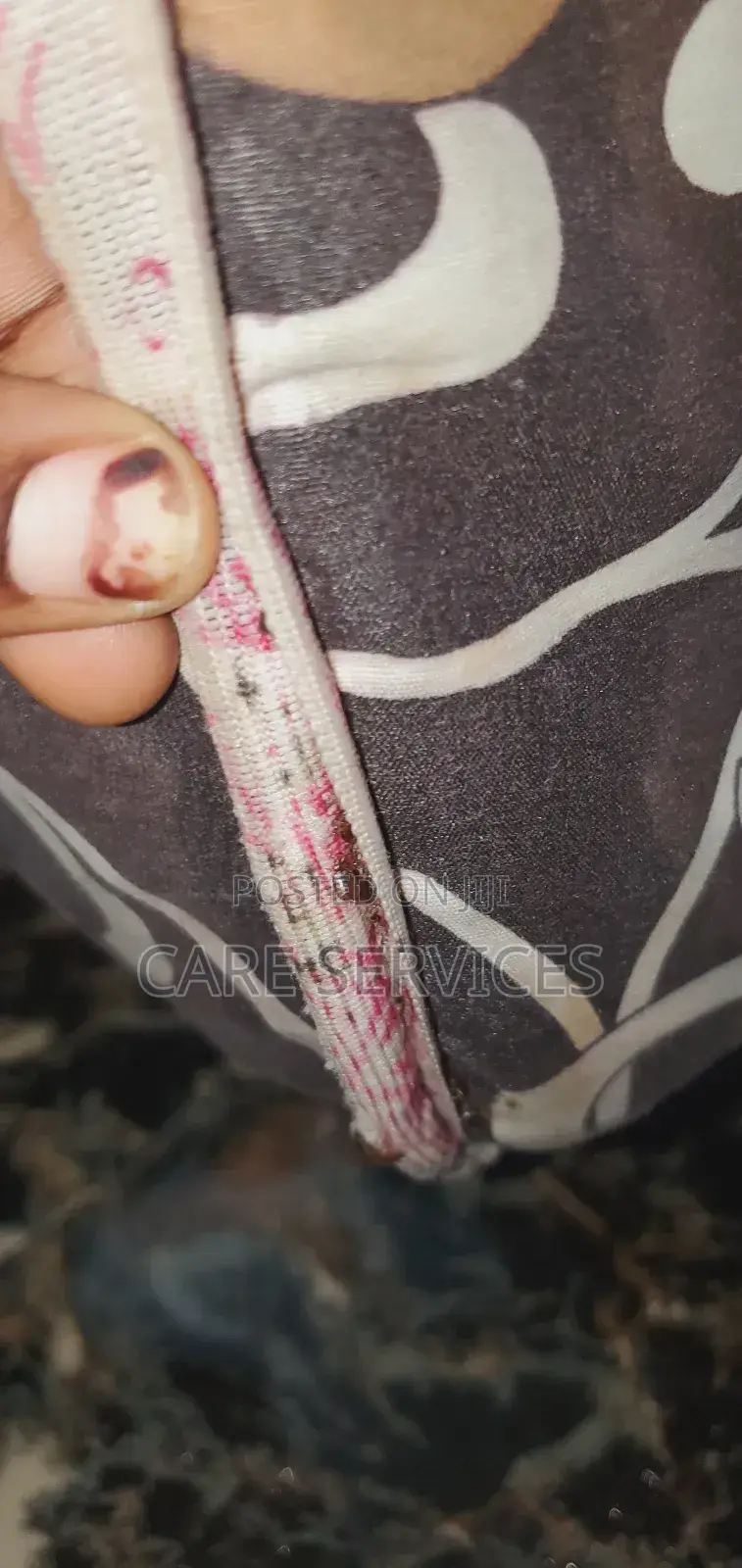 Lagos' Trusted Bedbug Experts