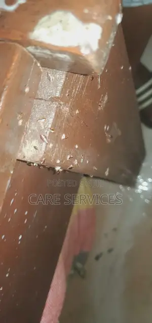 Lagos' Trusted Bedbug Experts