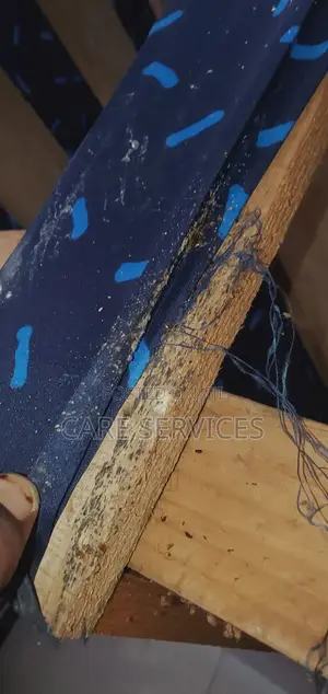 We Eliminate Bedbugs