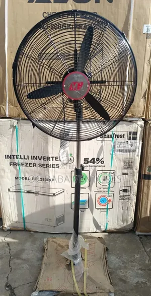 Mg Standing Fan