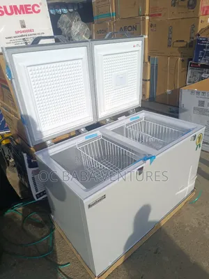 Scanfrost Inverter Freezer