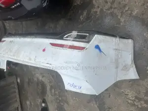 Complete Back Bumper Genesis 2019