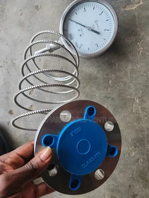 Pressure Gauge With 2"Inch Flanged Diaphragm Seal
