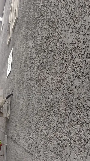 Tyrolean and Wall Screeding