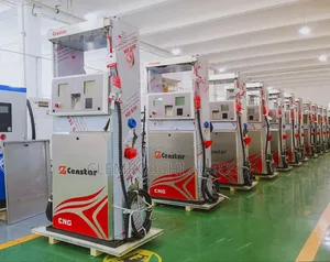 High Quality Certified Complete Brand New CNG Dispensing Pump Machine.