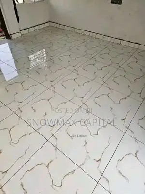Professional Tiling Works