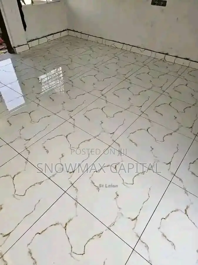 Professional Tiling Works
