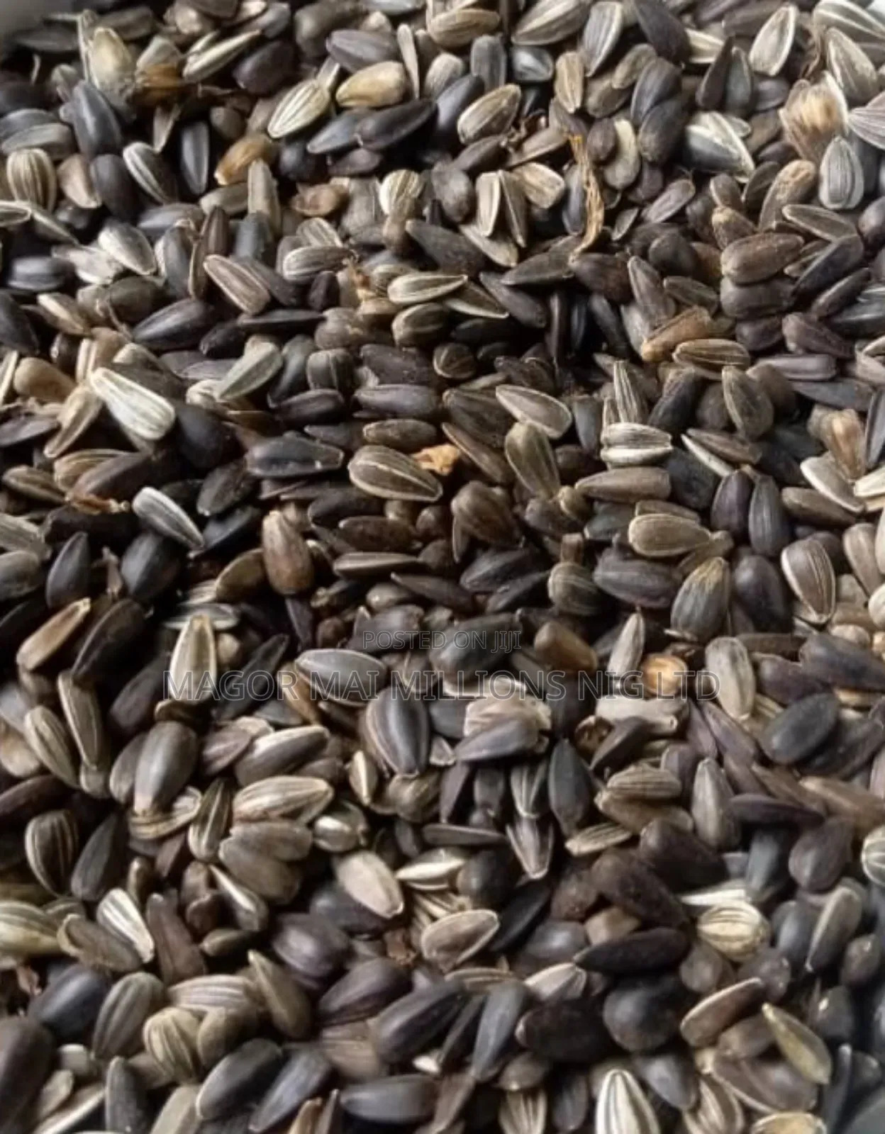 High Quality Seeds (Check Description for Prices)