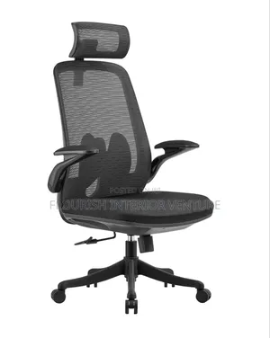 Quality Executive Office Director Mesh Chair With Head Rest