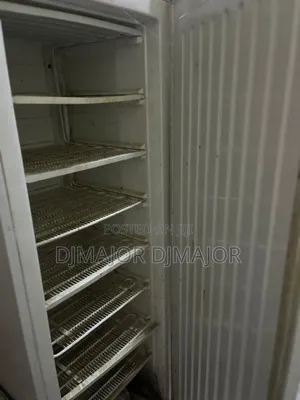 Haier Thermocool Upright Freezer