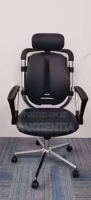 Kidney/Ergonomic Office Chair