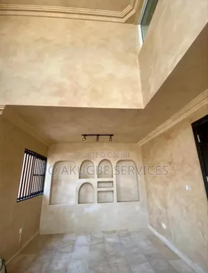 Lime Wash Decorative Paint Applicator