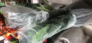 Artificial Flower and Pot Set