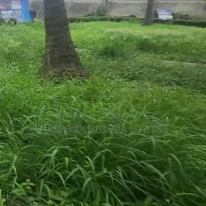 Land Available