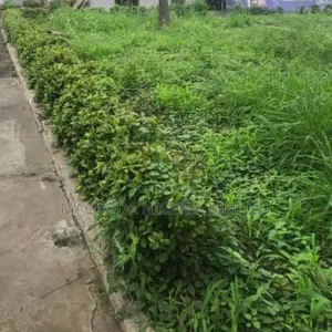 Land Available for Sale at Banana Island