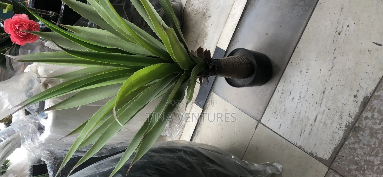 Artificial Flower/Plant