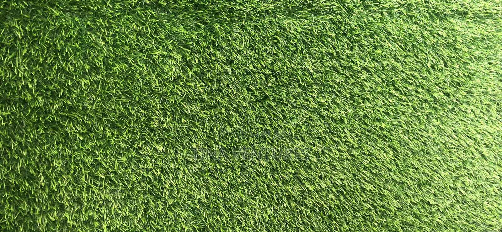 Artificial Grass