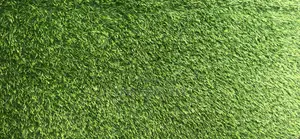 Artificial Grass