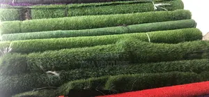 Artificial Grass