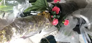 Artificial Flower ( High Quality)