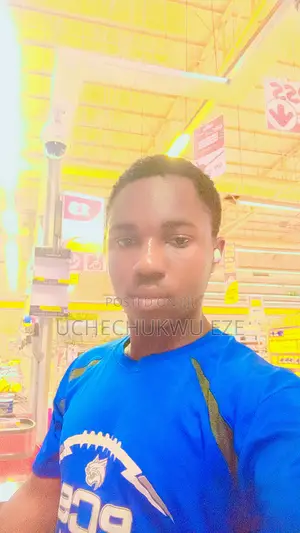 Housekeeping Cleaning CV