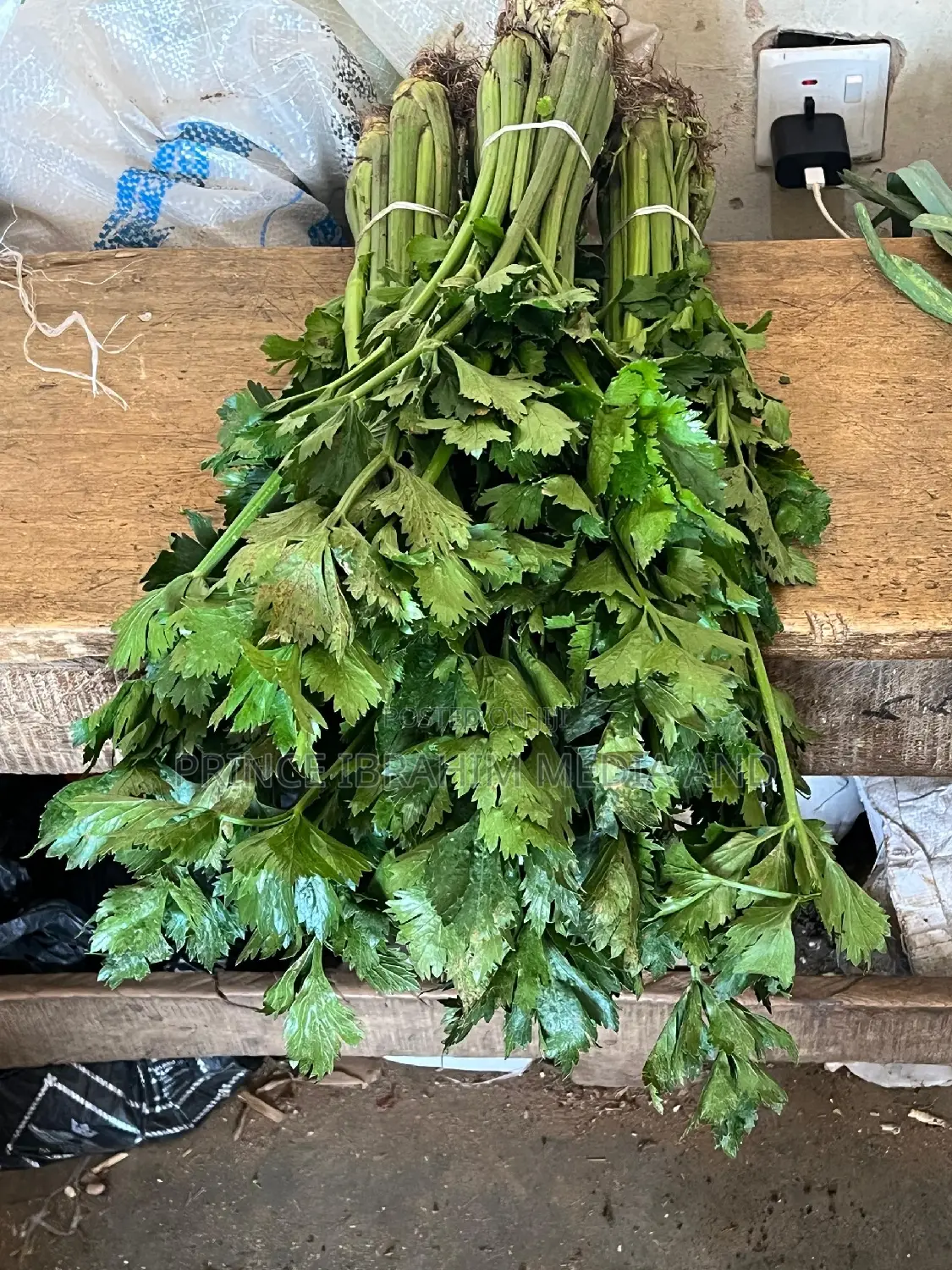 Fresh Celery