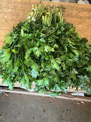 Fresh Parsley