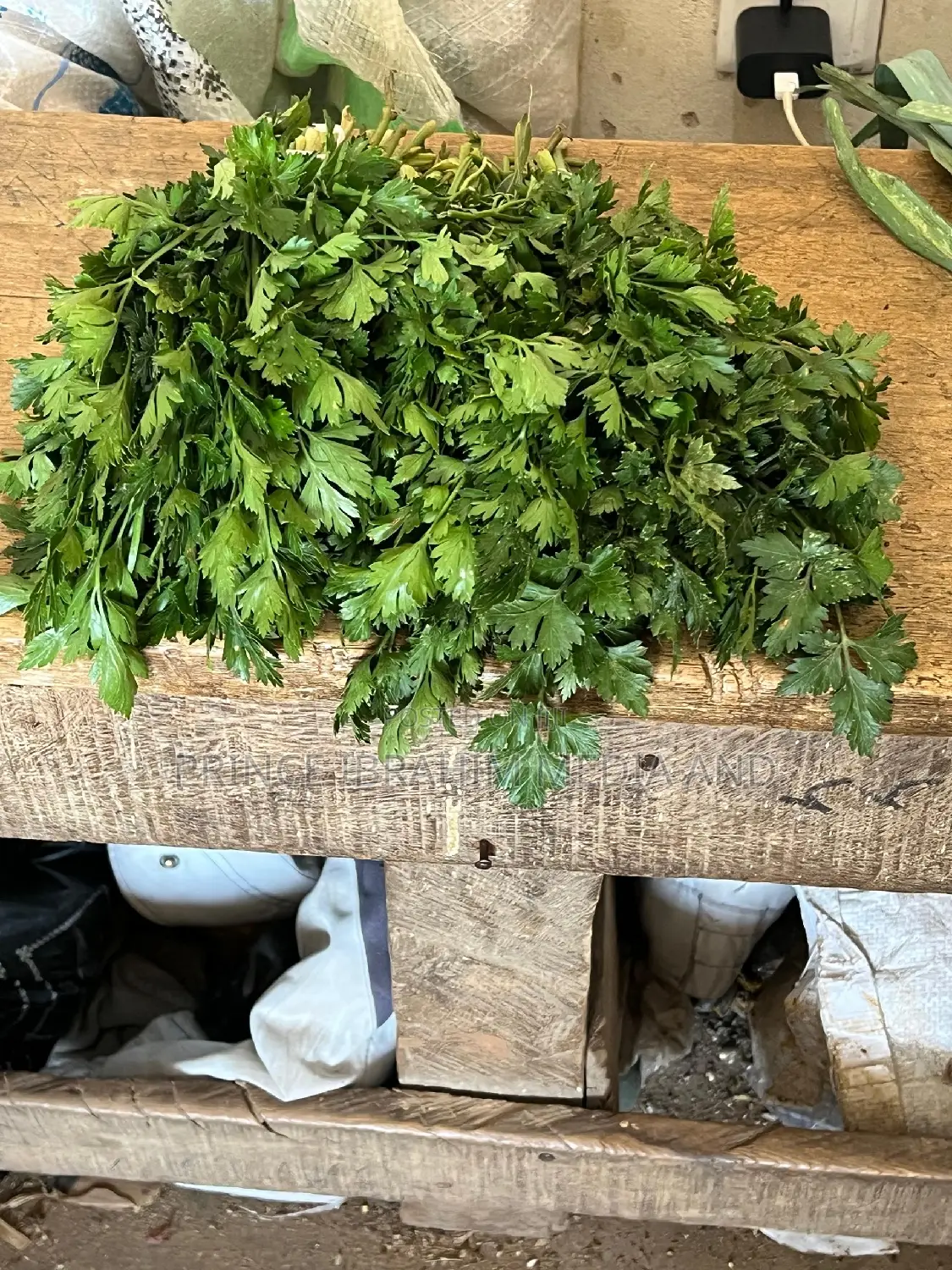 Fresh Parsley