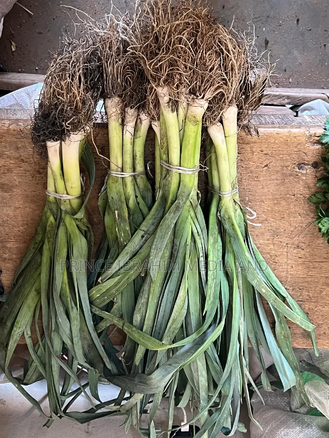 Fresh Leek