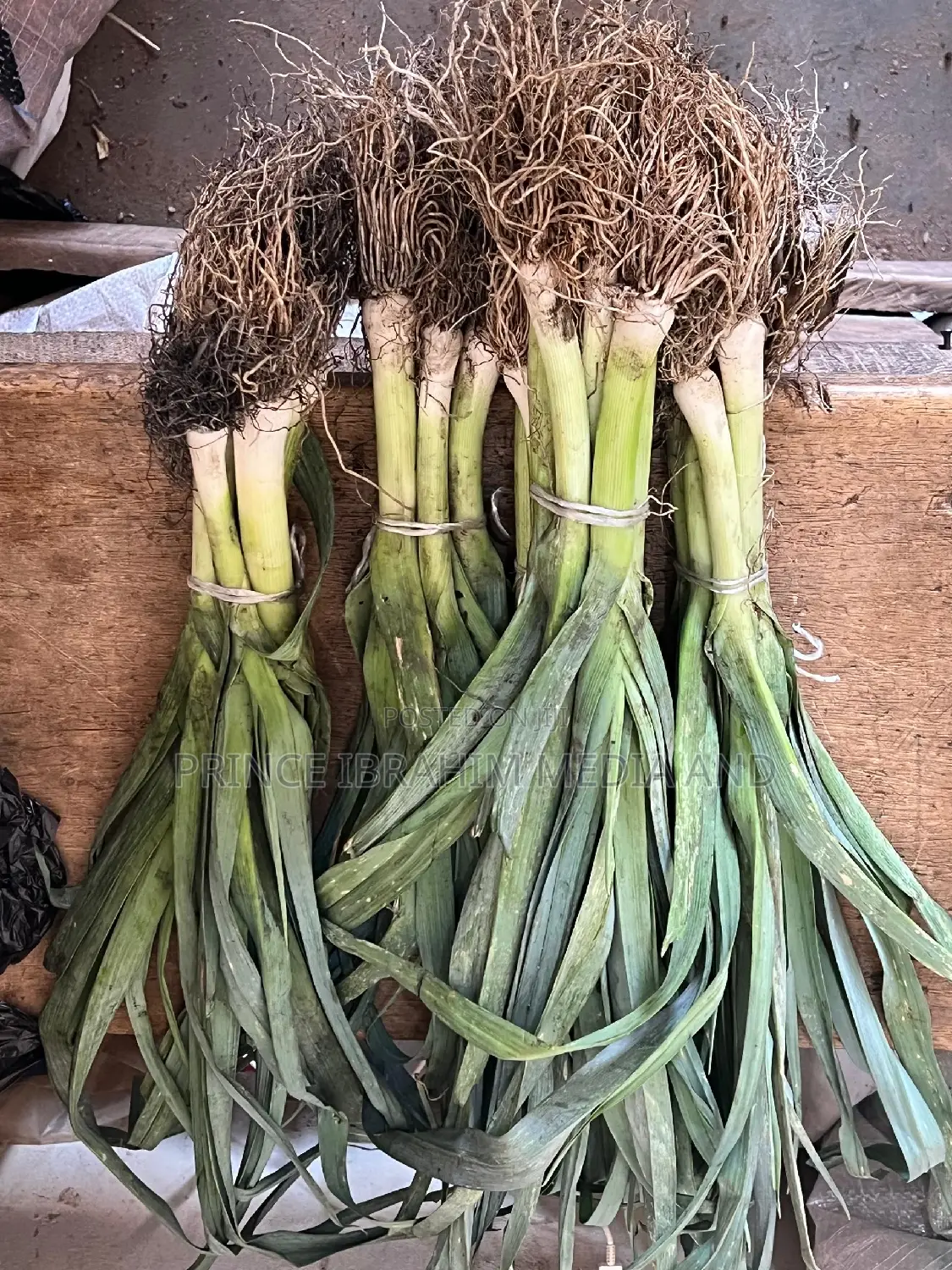 Fresh Leek
