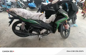 New Daylong DL110-55 2025 Green