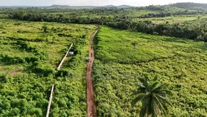 Hot 50 Acres Land
